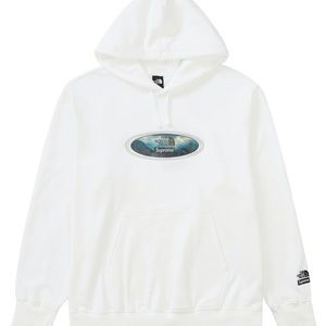 Supreme North Face Hoodie Size L